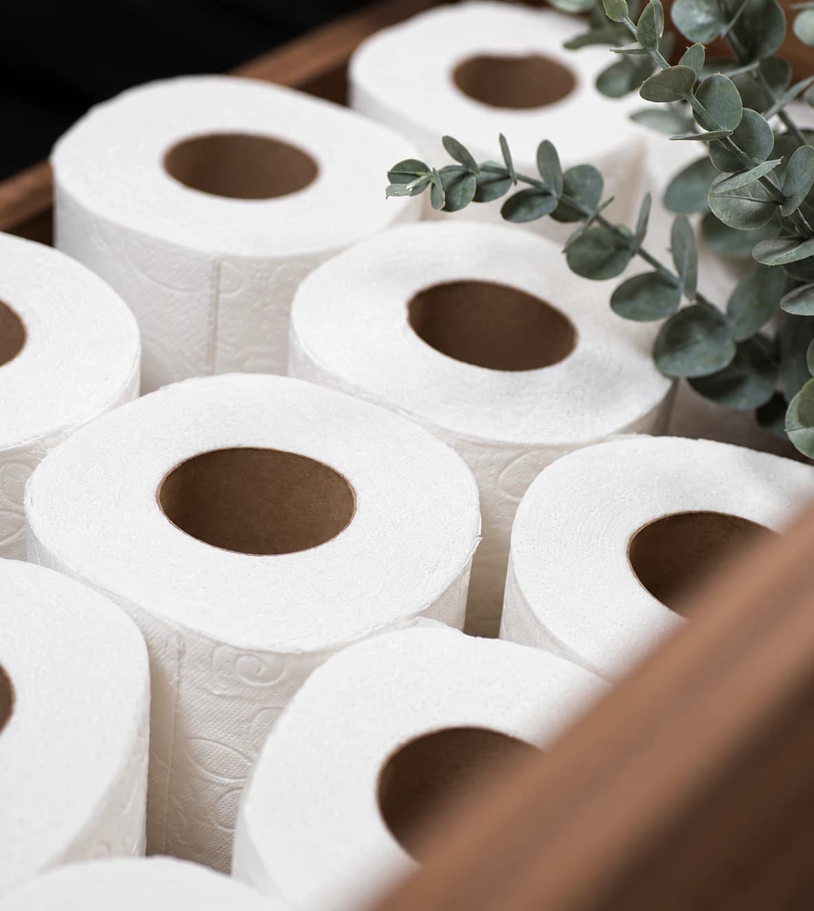 Papel